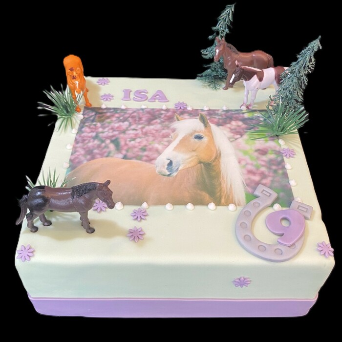 Taarten met 3d figuren (non food)PAARDEN