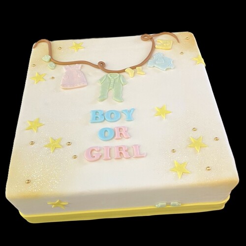 BABY CLOTHES - BOY OR GIRL